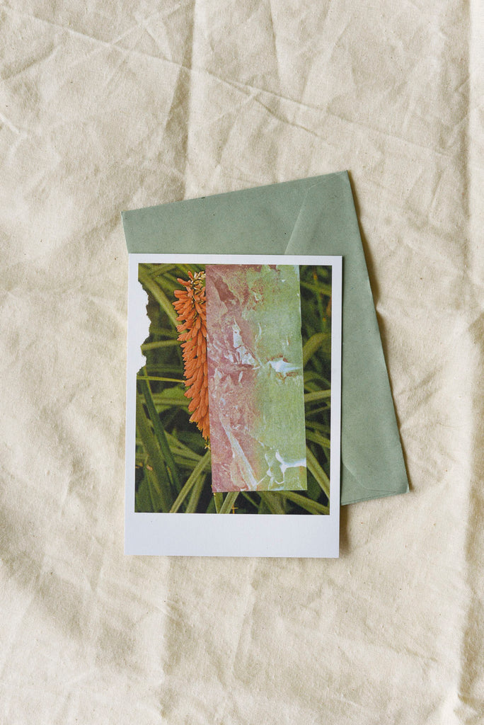 Single Postcard + Envelope by Wilder
