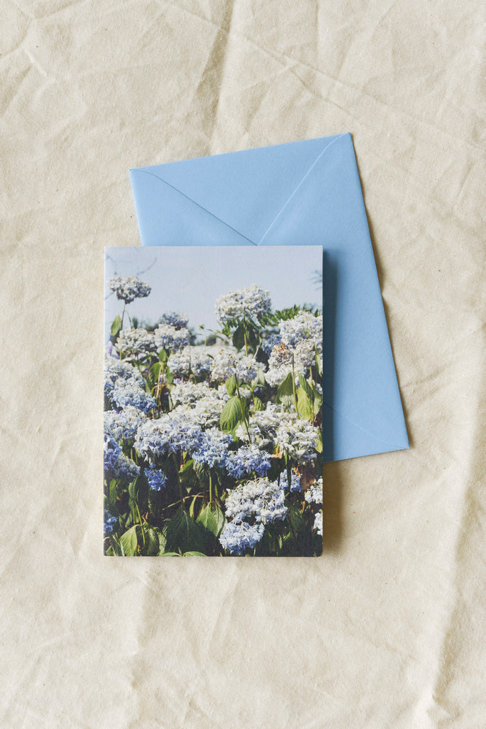 Double Postcard + Envelope by Wilder